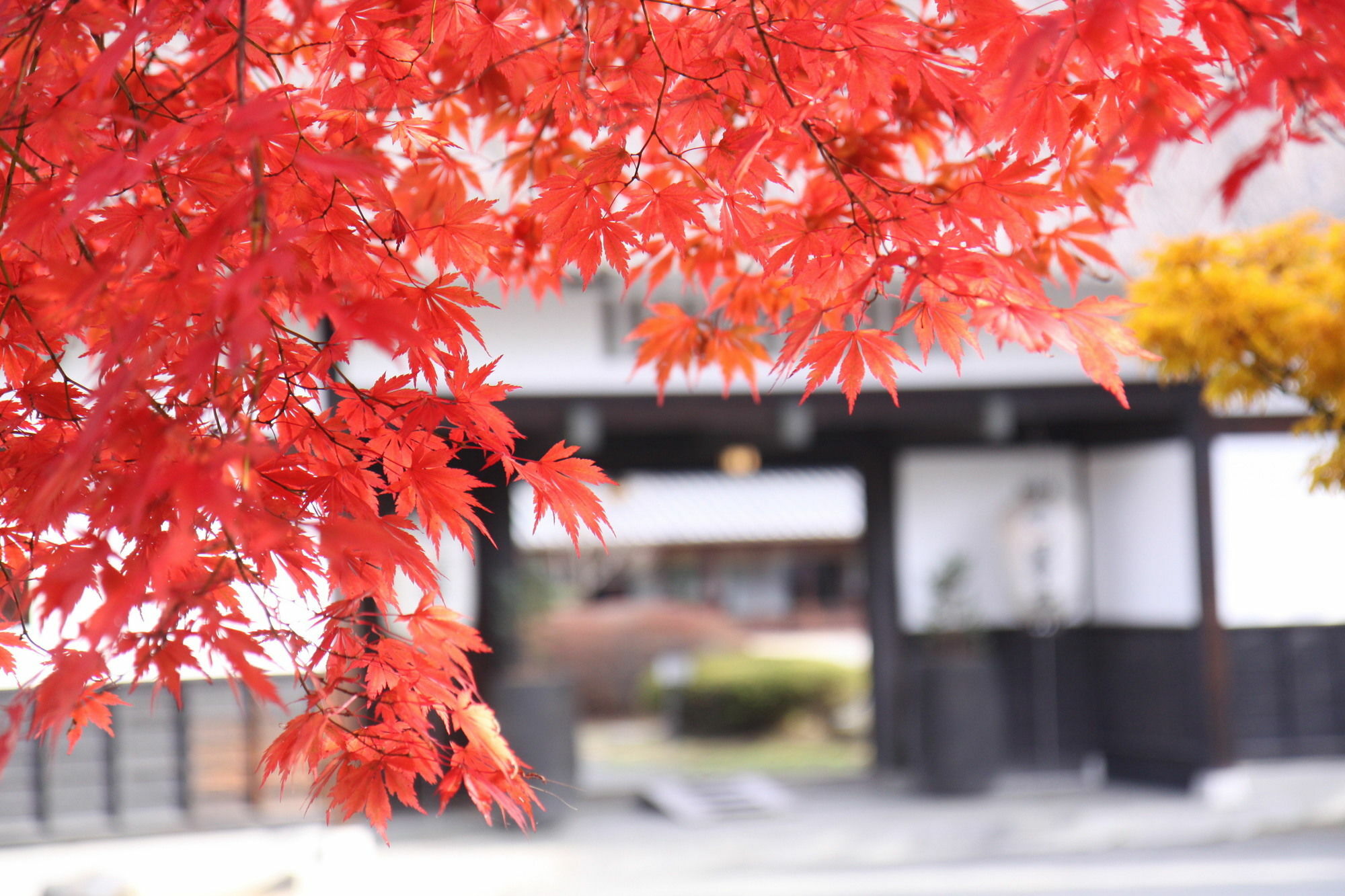诹访市 Suwakonomori Shikitei酒店 外观 照片